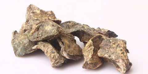 Vers oesters pasop