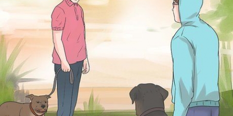 Voorkom dat 'n hond na ander honde blaft