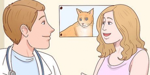 Voorkomen dat je kat op je bed plast