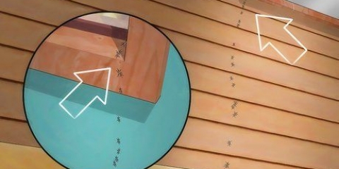 Voorkomen dat mieren je huis binne kom