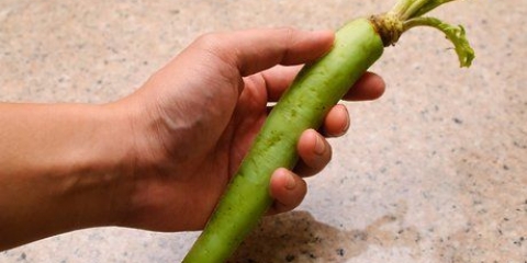 Wasabi klaarmaak