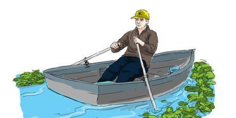 Verwyder waterlelies