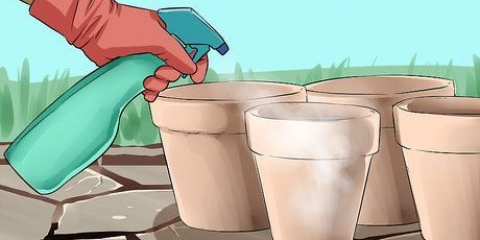 Gebruik waterstofperoksied in die tuin