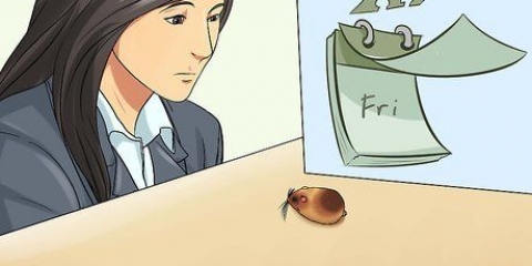 Weten van je hamster stervende is