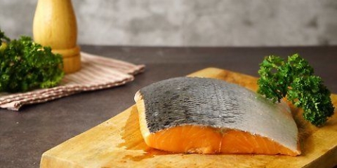 Zalm klaarmaak