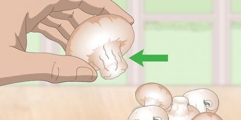 Zien of champignons bedorven zijn