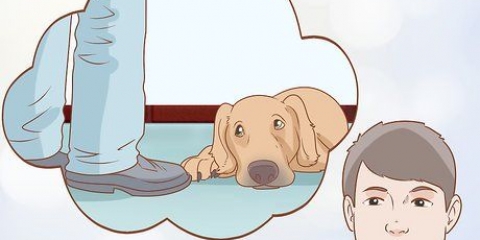 Zien of je hond depressief is