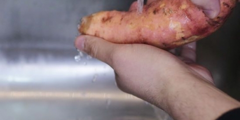 Zoete aardappel berei in die magnetron
