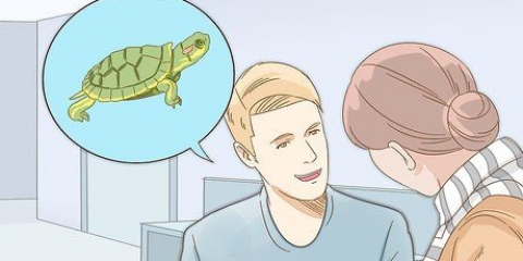 Zorgen vir 'n roodwangschildpad