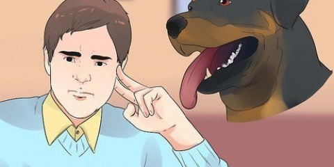 Zorgen vir 'n rottweilerpup