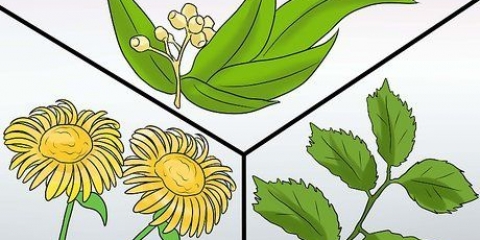 Voorkoming van swaar periodes: kan dit natuurlik gedoen word?