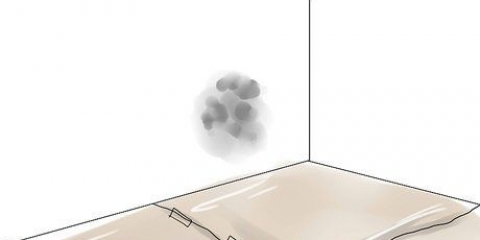 Die doodmaak van swartskimmel