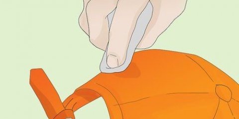 Kry sweetvlekke uit 'n pet