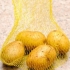 Aardappelpartjes voorberei