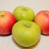Appelcider maak