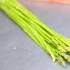 Asperges pasop
