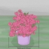 Snoei azaleas