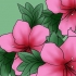 Versorging van azaleas