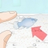 Baby platy vissen verzorgen
