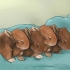 Babykonijntjes voederen