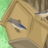 Help bedreigde spesies