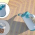 Bedwantsen doden met stoom