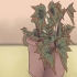 Groeiende begonias
