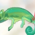 Bepalen van 'n kameleon mannelijk of vroulik is