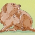 Bepalen of je hond vlooien het