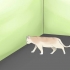 Bepalen of je kat blind is