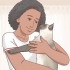 Besluiten van 'n siamese kat geskik is vir jou