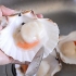 Bevroren coquilles voorberei