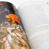 Help om biodiversiteit te beskerm
