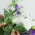 Droog blomme
