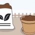 Om blomme te plant