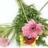 Blommerangskikking