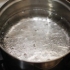 Blansjeer boerenkool
