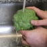 Broccoli snyden