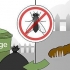 Raak ontslae van vlieë buite