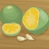 Calamondin plante