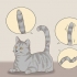 Communiceren met je kat