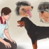 Controleren of je hond gesond en tevrede is