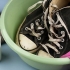 Skoonmaak converse all stars