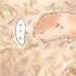 Die gebroken poot van je hamster behandel