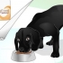 Die wag van 'n hond laat glanzen