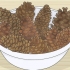 Bewaring van dennebolle