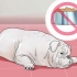 Diarree by 'n hond behandel