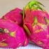 Eet draakvrug (pitaya)