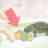 'N babyschildpad voer