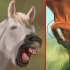 Een band vorm met jou paard deur middel van natural horsemanship